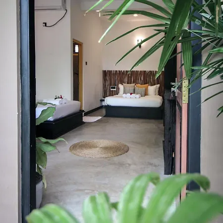 Banana Bunks Mirissa Hostel Exterior photo